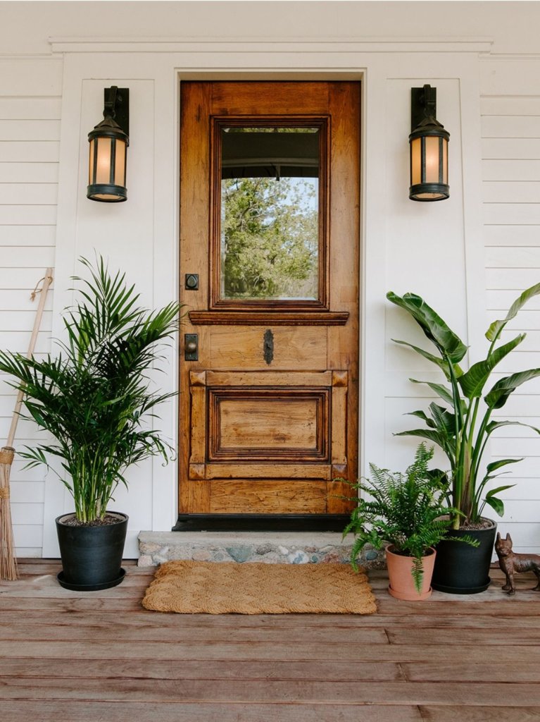Shop Large and XL plants. Bird of Paradise and Palm plants on either side of front door.
